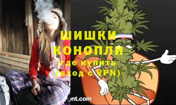гидра Аркадак