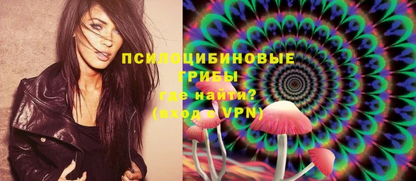 гидра Аркадак