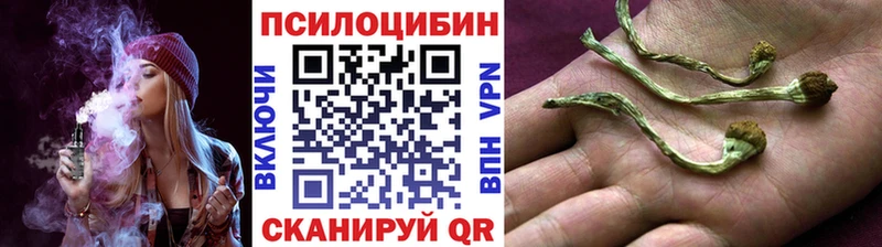 Галлюциногенные грибы мухоморы  Темрюк 